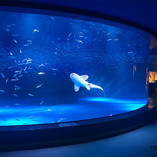 Thick Cast Acrylic Sheet Panel Bending for Large Aquarium Swimming Pool Oceanarium Tunnel Underwater Viewing Windows